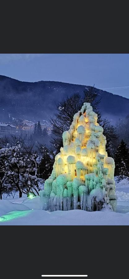 Hotel Rosengarten Tarvisio Bagian luar foto